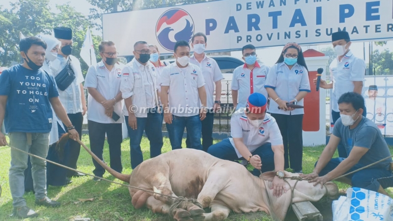 Sembelih 2 Ekor Lembu, Perindo Sumut Salurkan Daging Kurban kepada 250 Warga