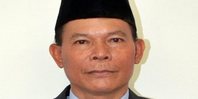 Dewan Asal Perindo Kalteng Harapkan Jaringan PLN Merata di Tahun 2024