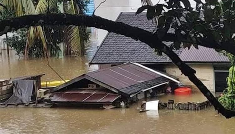 Marak Pembalakan Hutan Disinyalir Jadi Pemicu Banjir Ngamuk di Katingan Kalteng