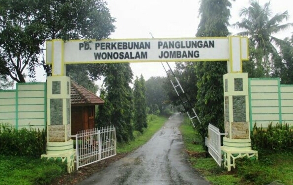 Minim Sumbangkan PAD, Dewan Partai Perindo Jombang Soroti 2 Perumda Ini