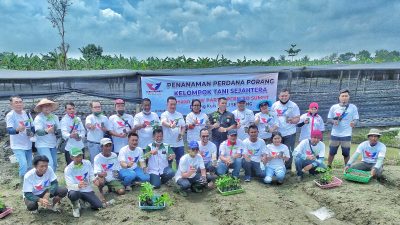 Partai Perindo Sumut dan Kelompok Tani Kembangkan Komoditas Porang