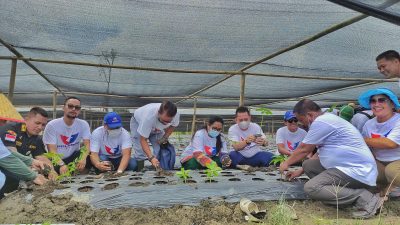 Dukung Program Jokowi, Partai Perindo Sumut Bina Petani Kembangkan Komoditi Porang