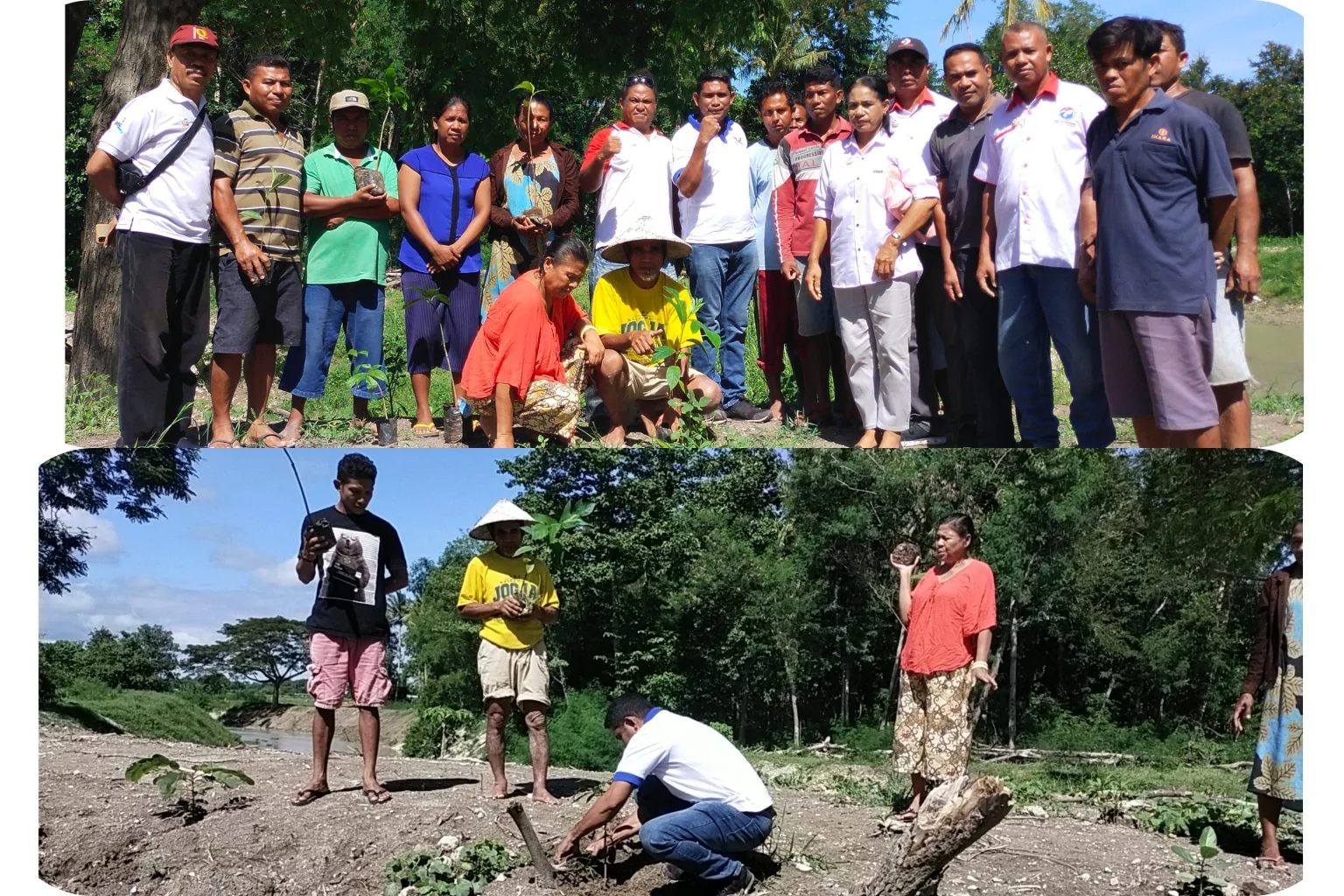 Cegah Bencana Alam, Partai Perindo Kupang Timur Reboisasi DAS Kali Pukdale