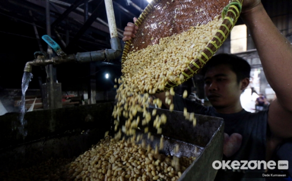 Solutif! Harga Kedelai Melonjak, Partai Perindo: Perbaiki Tata Kelola Impor & Tingkatkan Produksi Lokal