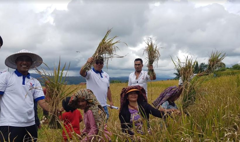 DPD Humbang Hasundutan Rayakan HUT Partai Perindo Sumut Bersama Petani