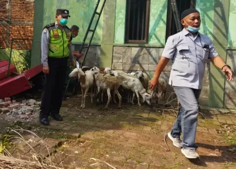 Salurkan Hewan Kurban MNC Peduli dan Partai Perindo, Polsek Kebon Jeruk: Semoga Berlanjut 