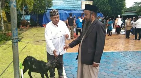 Partai Perindo Maluku Serahkan Hewan Kurban untuk Muhammadiyah 