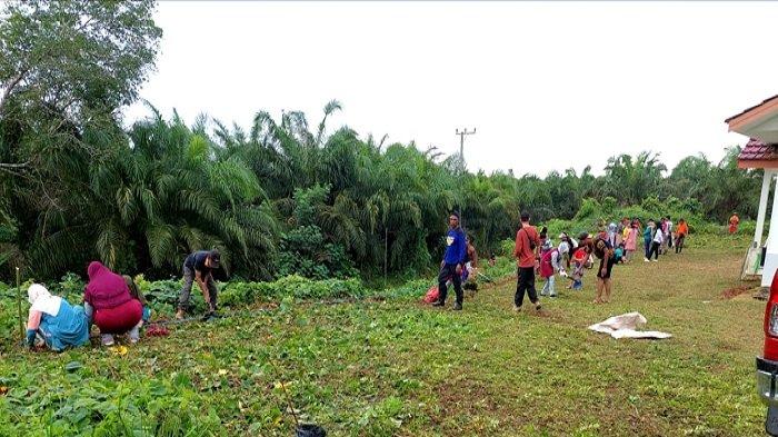 Cegah DBD, Politisi Partai Perindo Kotabaru Ikut Gotong Royong di Dusun Sangkoh