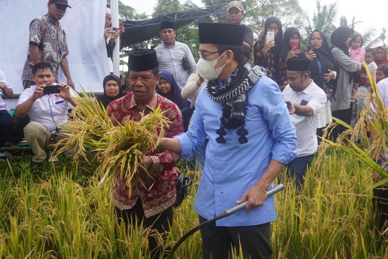 Apresiasi Pengembangan Pertanian Organik PETA NWDI, TGB: Akan Jadi Amal Panjang Bagi Petani