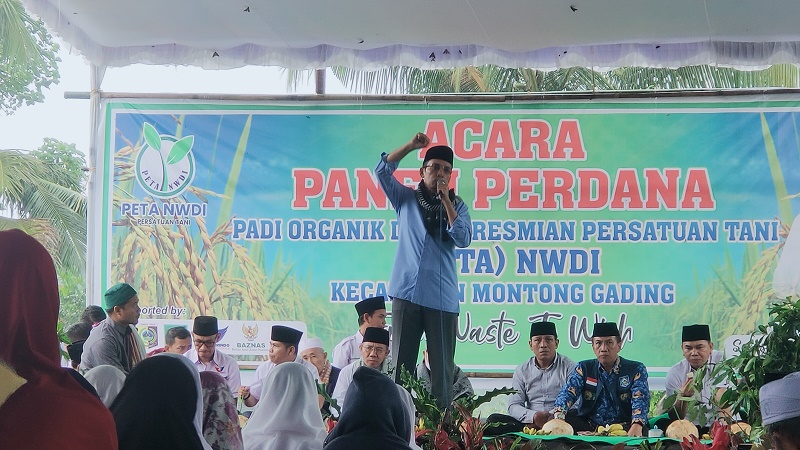 Panen Perdana PETA NWDI di Lombok Timur, TGB Ajak Masyarakat Rajin Menanam