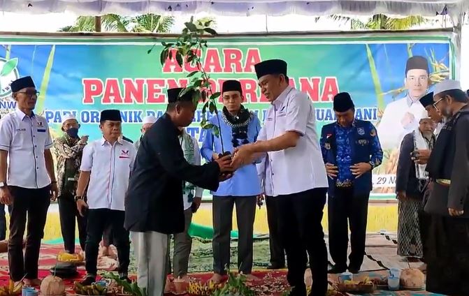Partai Perindo Serahkan Bibit Pohon Salam saat Panen Perdana PETA NWDI