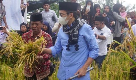 Ajak Masyarakat Lombok Timur Rajin Menanam, Partai Perindo Serahkan Bibit Pohon Salam