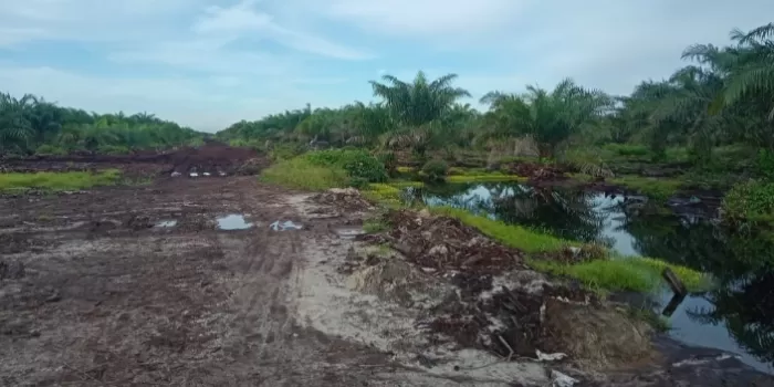 Politikus Partai Perindo SBD Minta   Disnakertrans Segera Atasi Pengiriman Pekerja Sawit Ilegal