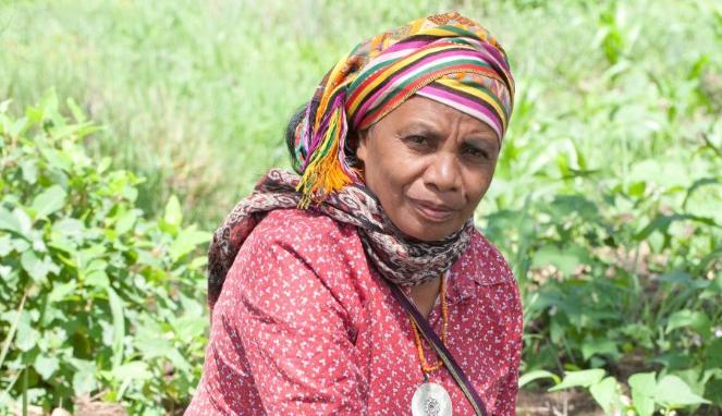 Tokoh Perempuan Pejuang Lingkungan Hidup Asal NTT Bakal Nyaleg dari Partai Perindo 