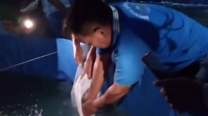 Senator Partai Perindo Palu Serahkan Pakan dan Bibit Ikan Nila ke Peternak