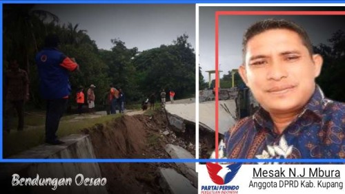 Legislator Partai Perindo Kupang Apresiasi Langkah Pemda Perbaiki Bendungan Oesao 