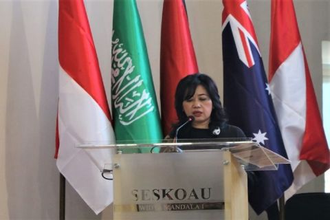 Ketua DPP Partai Perindo: Strategi Keunggulan Komparatif dan Kompetitif Kunci Ekspor Alutsista