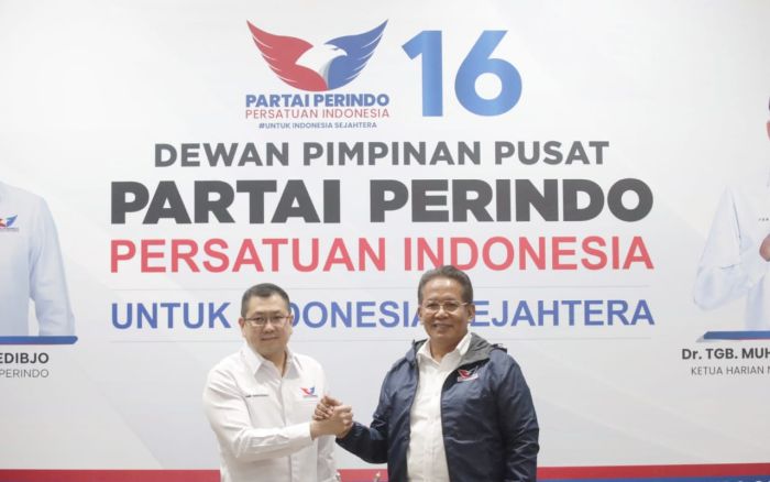 Mantan Kepala BNN Komjen (Purn) Anang Bergabung, Jabat Ketua Badan Narkoter Center DPP Partai Perindo