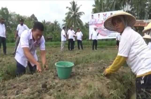 Partai Perindo Padang Sidempuan Bertekad Buka Lahan Sebanyak-banyaknya Agar Warga Bisa Menanam Bawang