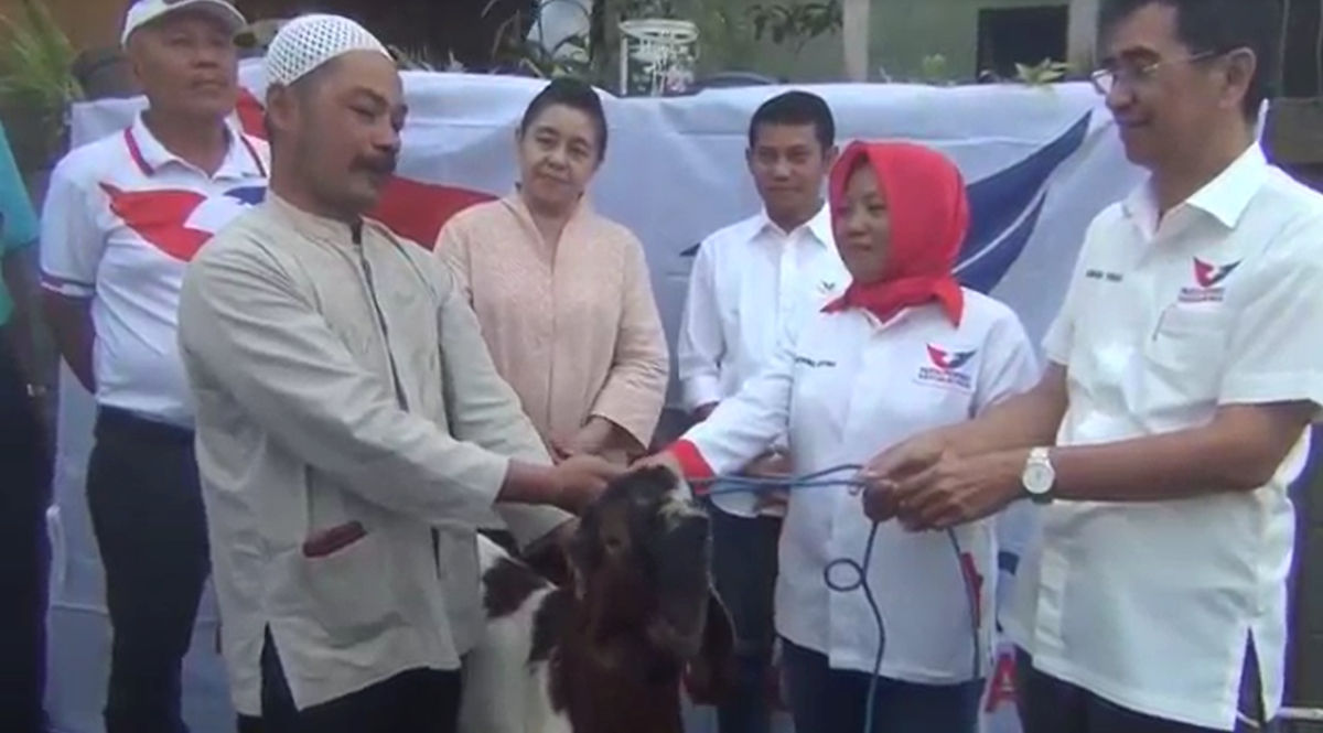 DPW Partai Perindo Bali Serahkan Hewan Kurban ke Majelis Taklim Alfitra