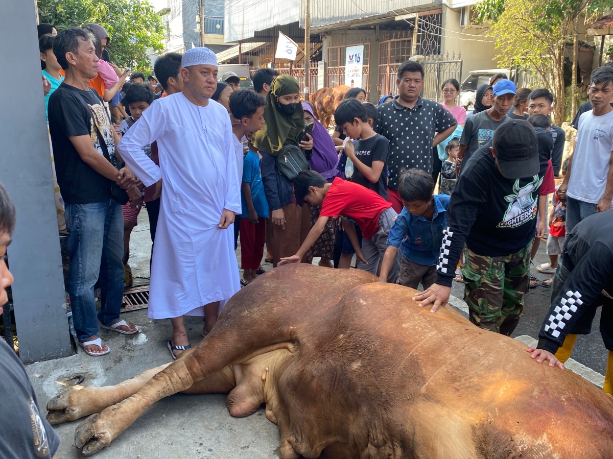 Potong Hewan Kurban Seberat 1,1 Ton, Baja Perindo Gaungkan Semangat Berbagi