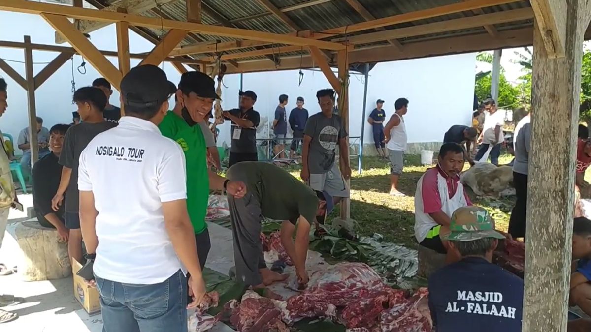 Idul Adha 1444 H, DPW Partai Perindo Sulteng Serahkan Sejumlah Hewan Kurban