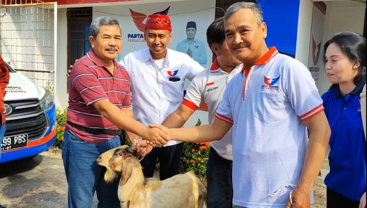 Partai Perindo Babel Serahkan 3 Hewan Kurban 