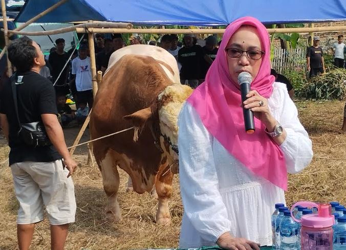 Bacaleg Partai Perindo Ratu Siti Romlah Serahkan Sapi Kurban 1,6 Ton ke Warga Kahuripan Kota Serang 