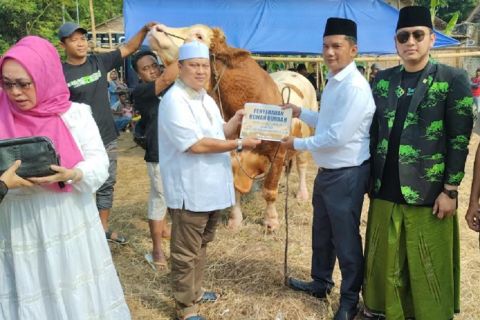 Dapat Sapi Kurban dari Bacaleg Perindo Ratu Siti Romlah, Lurah Karundang: Ini Sangat Bermanfaat dan Berkah 