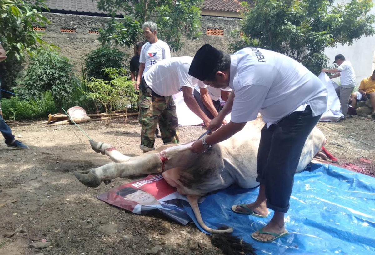 DPW Partai Perindo Lampung Bagikan Daging Kurban ke Masyarakat Sekitar