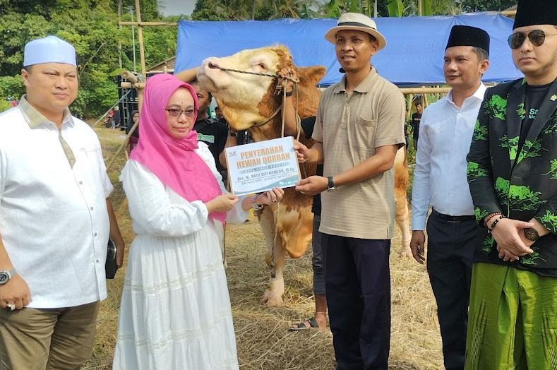 Kurbankan Sapi 1,6 Ton, Bacaleg DPR-RI Partai Perindo Banten: Ini Murni Ibadah