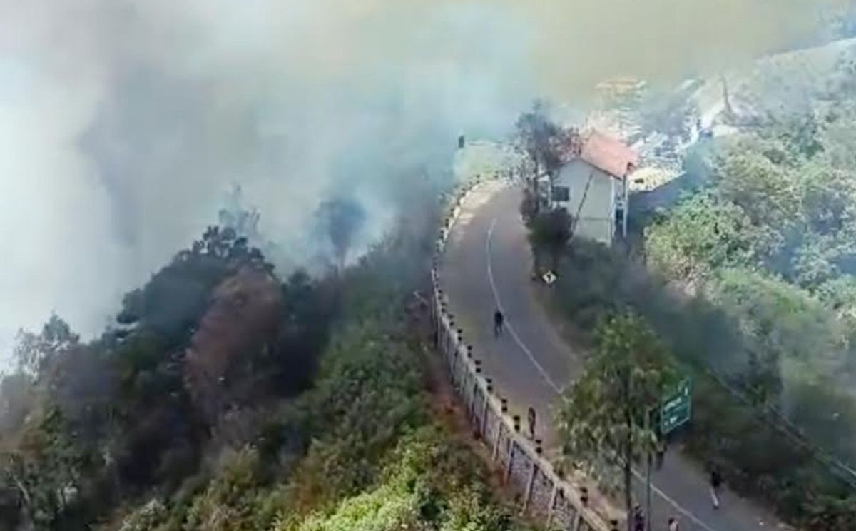 Kawasan Wisata Gunung Bromo Terbakar, Partai Perindo: Keteledoran yang Tak Bisa Ditolerir