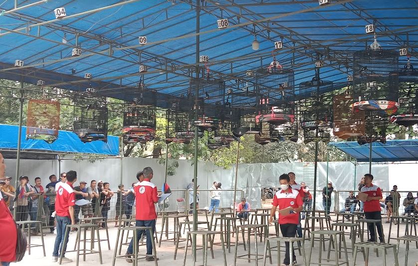 Komunitas Pecinta Burung Kumpul di Bandung, Antusias Ikuti Lomba Burung Berkicau Piala Djoni Toat