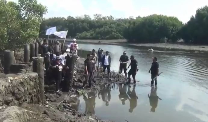 Partai Perindo, Ormas dan Relawan Ganjar Tanam Mangrove di Sekitar Tol Bandara Ngurah Rai Bali 
