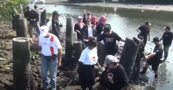 Selain Tanam Mangrove Perindo Bali Juga Sapa Petani Kepiting di Kuta