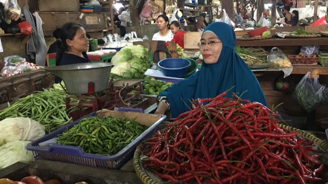 Harga Cabai Rawit Tembus Rp100 Ribu, Partai Perindo Minta Pemerintah Beri Solusi