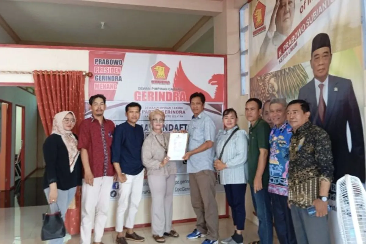 Ketua DPD Partai Perindo Mastini RL Nyatakan Maju di Pilkada Barito Selatan