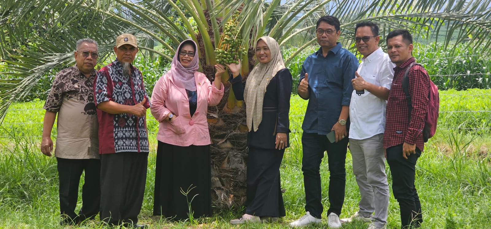 Anggota DPRD NTB dari Partai Perindo Dorong Kurma Jadi Ikon Baru Pertumbuhan Ekonomi Lombok Utara