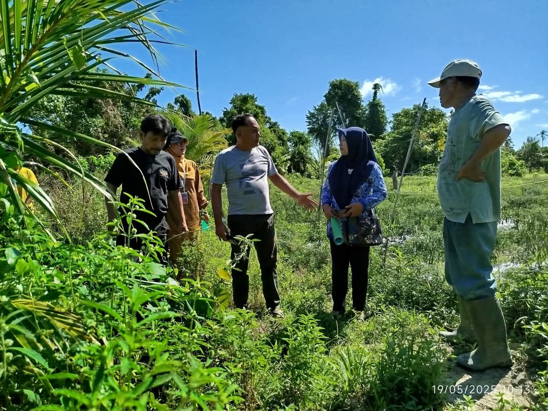 Pacu Kesejahteraan Petani & Peternak, Legislator Partai Perindo James Sibarani Dorong Swasembada Pangan & Kolaborasi dengan Pemkab Mentawai