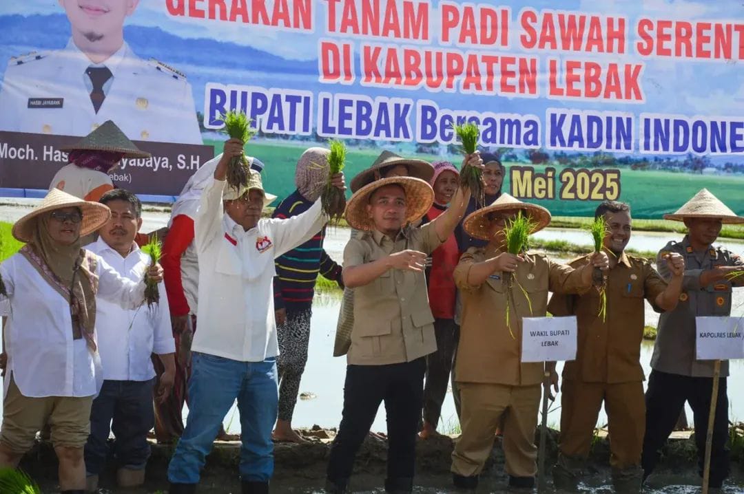Langkah Konkret Wujudkan Kemandirian & Ketahanan Pangan, Sekjen Partai Perindo Apresiasi Gerakan Tanam Padi Sawah Serentak di Lebak