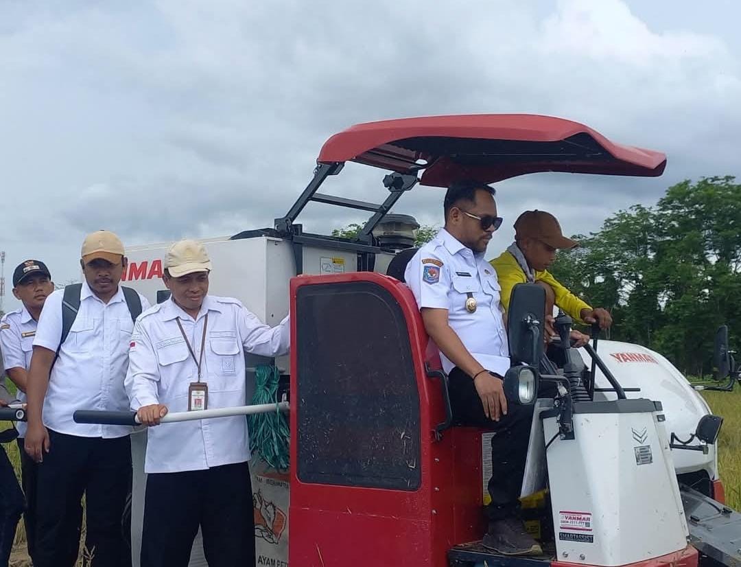 Wujudkan Ketahanan Pangan, Wakil Bupati Maluku Tengah Mario Lawalata Pacu Sinergi dengan BRMP Maluku