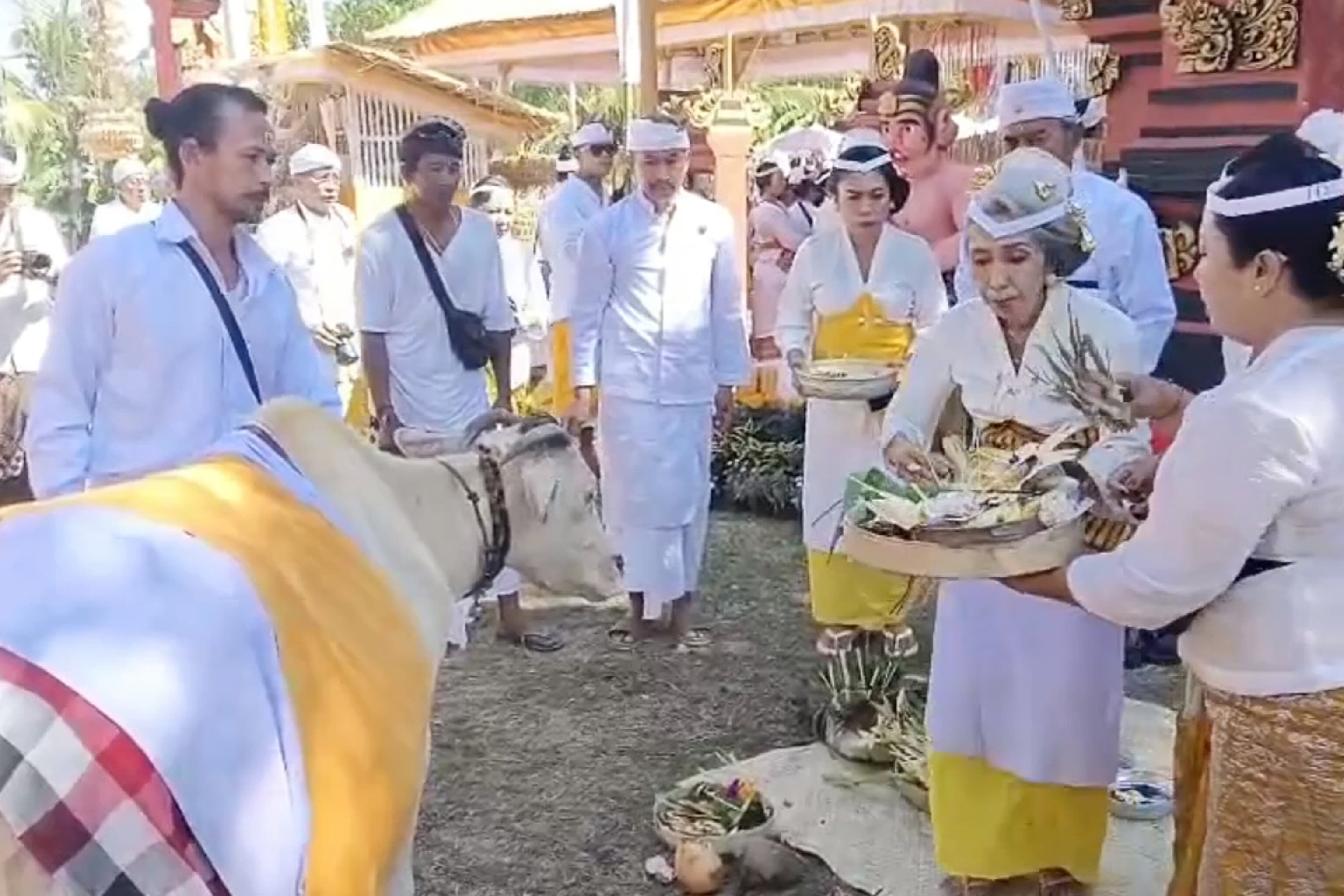Puri Agung Karangasem Gelar Puncak Karya Baligia, Partai Perindo Bali Apresiasi Generasi Muda Turut Jaga Warisan Adat
