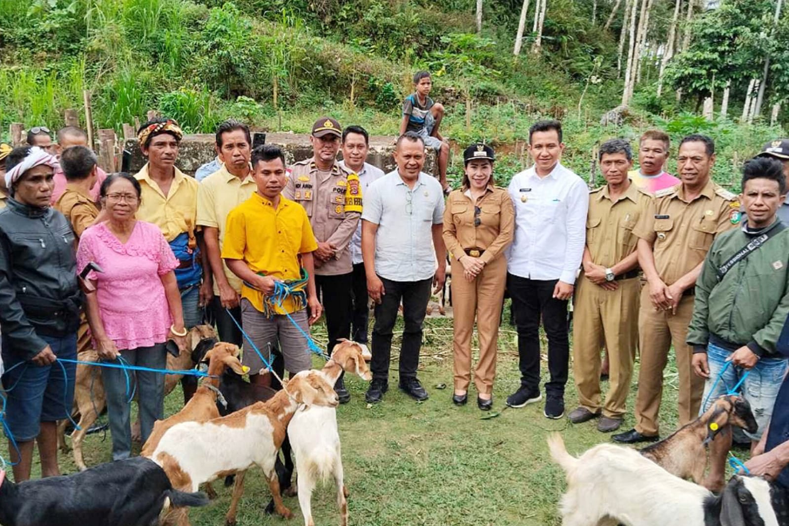 Realisasikan Aspirasi Warga Sumba Barat Daya, Legislator Partai Perindo Yusuf Bora Salurkan 88 Kambing untuk Ketahanan Pangan