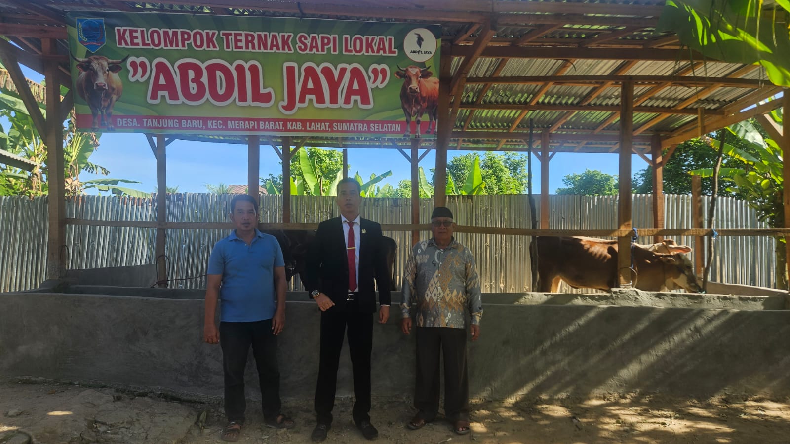 Dorong Peternak Lahat Naik Kelas, Safri Dampingi Warga dan Salurkan Puluhan Kambing serta Sapi