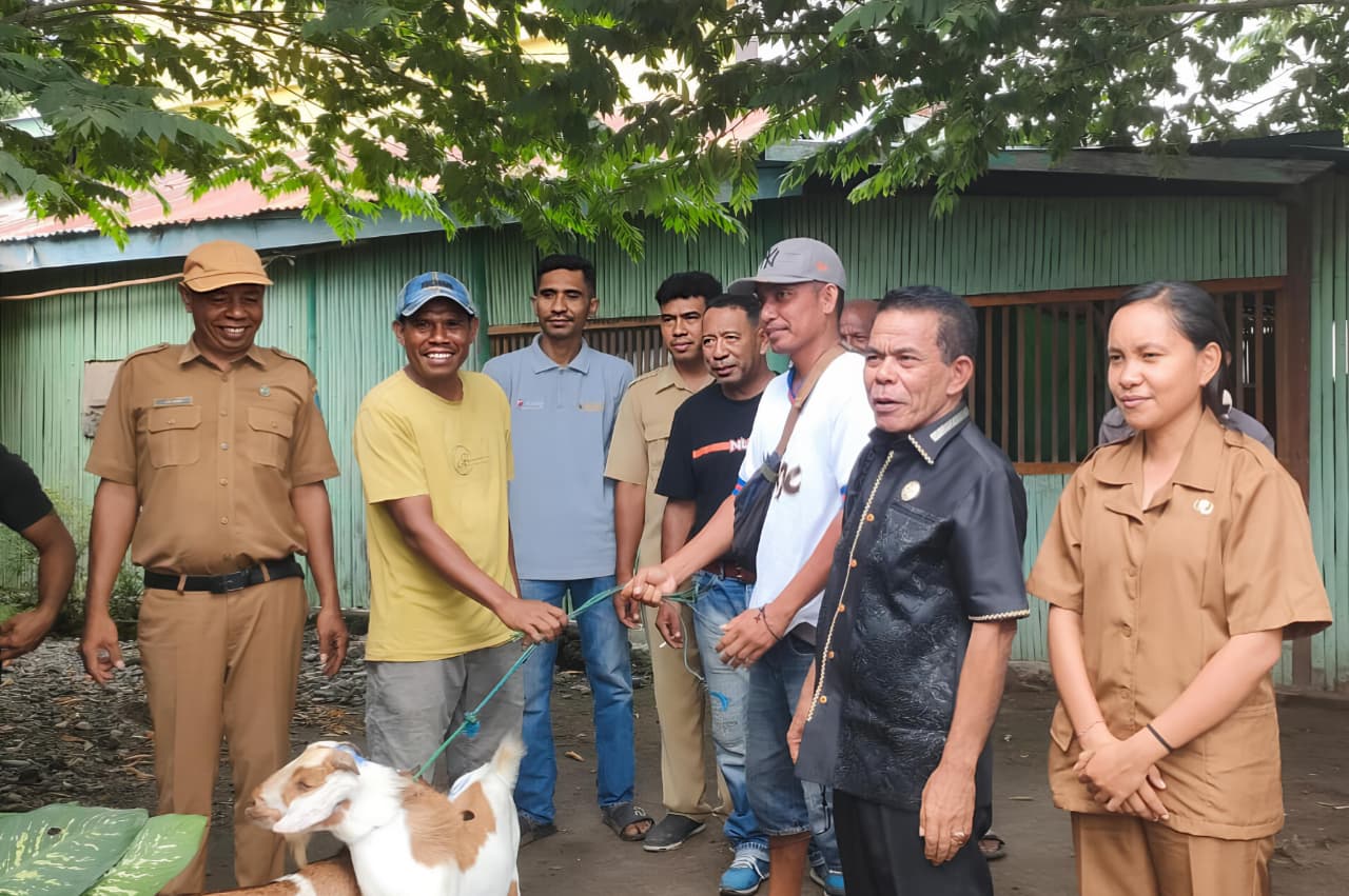 Upaya Mbulang Lukas Siapkan “Tabungan Hidup” Warga Nagekeo Melalui Ternak Kambing