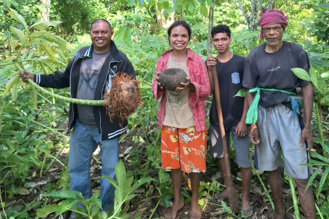 Terjebak Rantai Distribusi, Stefanus Sosa Bantu Petani Porang Raih Harga Layak