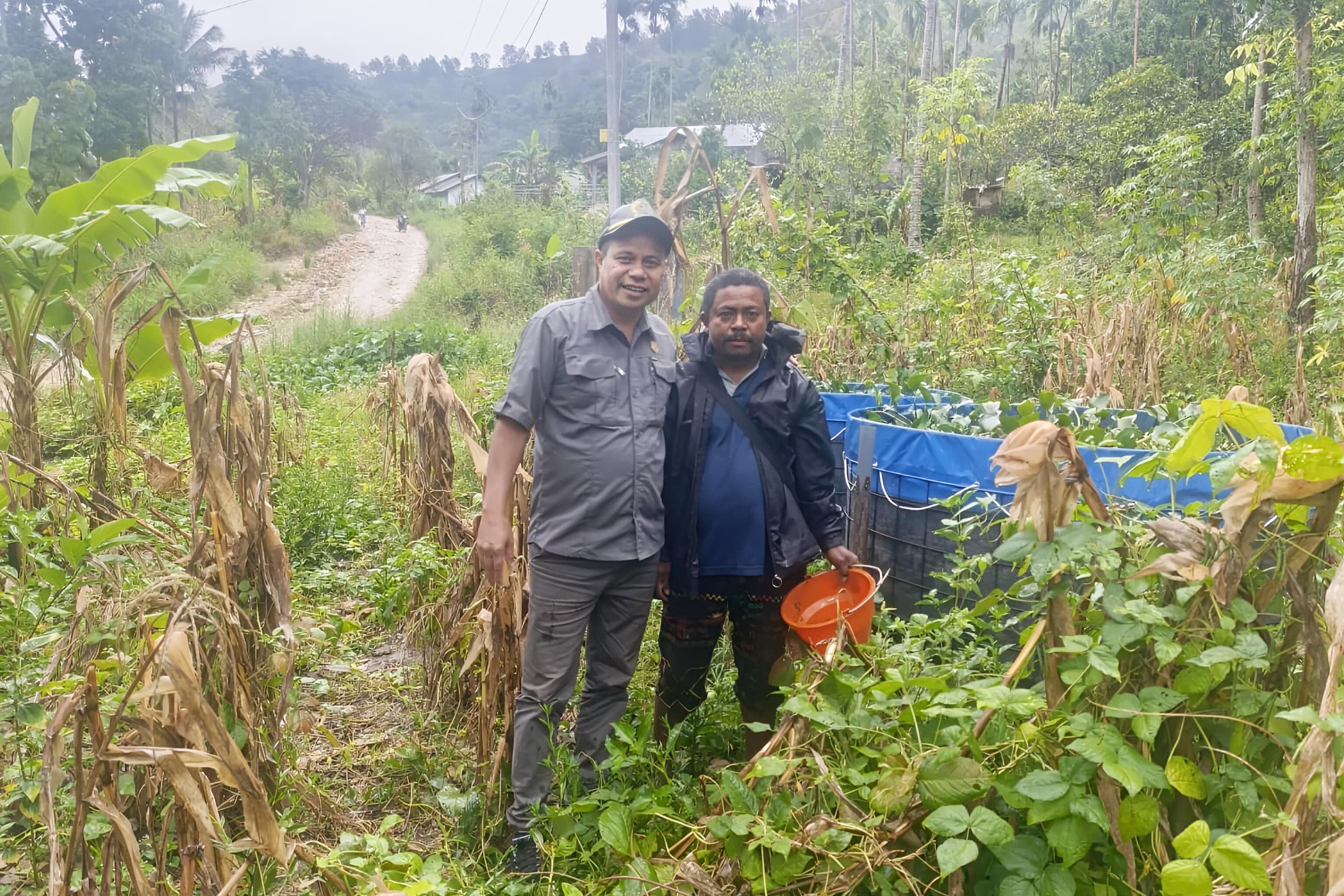 Lele Bioflok Siap Panen, Upaya Marthen Natonis Perkuat Ekonomi Kerakyatan di TTS